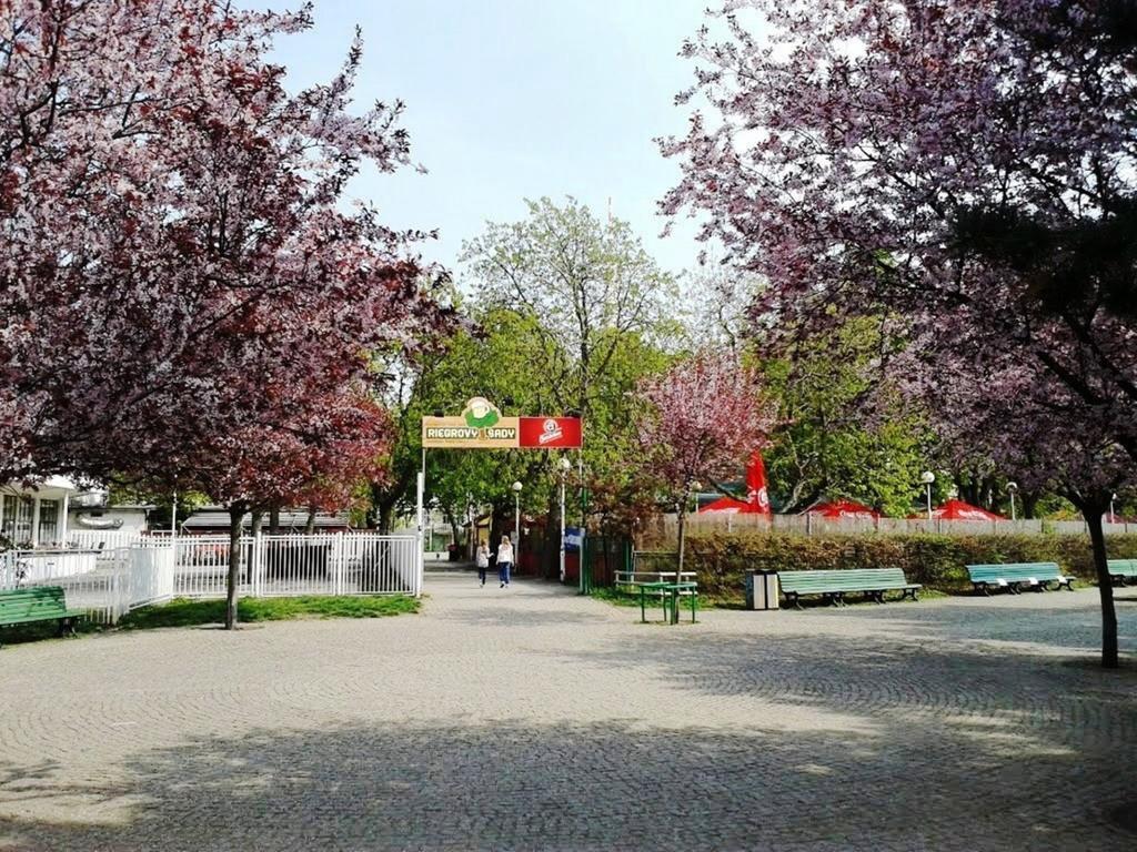 Modern Apartment Riegrovy Sady Praha Eksteriør bilde